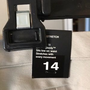 NWT The Limited Pants crop